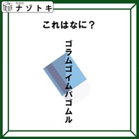 クイズです!「この図が表しているものは?」ヒントは後ろに隠れているもの【難易度LV2.・甘口】