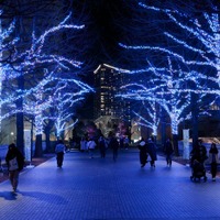 ヨコハマミライト（提供写真）