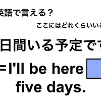 英語で「5日間いる予定です」は何て言う?