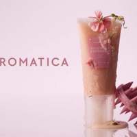 AROMATICA、ローズ&ゼラニウム香るホリデーヘアキットが数量限定で登場