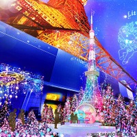 「東京タワーウィンターファンタジー2025 Little Twin Stars Xmas イルミネーション」（C）2025 SANRIO CO., LTD. APPROVAL NO. L632633