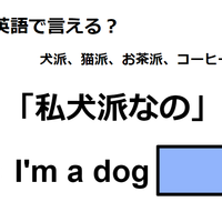 英語で「私、犬派なの」は何て言う?