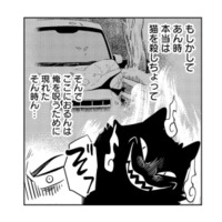 もしかしてあの事故のときの猫!? あとを追っていった先で、たどり着いた場所とは?【しゃこうっち。 #2】