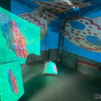 プロジェクションマッピングとアナログアートの融合