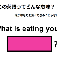 この英語ってどんな意味?「What is eating you?」