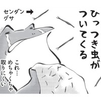 ひっつき虫を服につけて、どんぐりをポケットに入れる…秋がやってきたと感じます【カエル母さん #6】