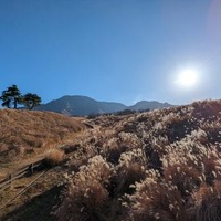 ウイルスや寒さの影響で体調を崩しがちな「冬至」の時季、「意外な３つの海鮮」を食べるべし？１つは赤くて２つは白くて