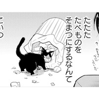 【猫視点】食べ物につられて来ちゃったけど、この人間、なにも食べない!? なんで!?【同居人はひざ、時々、頭のうえ。 #８】