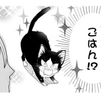 【猫視点】あの人間、よくわからないけど、ごはんをくれる言葉だけはわかる!! もっとちょうだ~い【同居人はひざ、時々、頭のうえ。 #21】