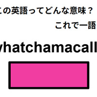 この英語ってどんな意味？「whatchamacallit」
