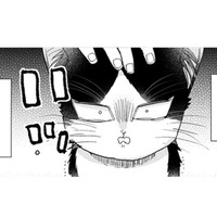 【猫視点】ごはんの言葉が聞こえた！ まだあるのかと思ったらない！だまされた～!!【同居人はひざ、時々、頭のうえ。 #31】