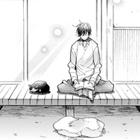 【猫視点】この場所は、いいおひるね場所もあるしごはんもくれるし、わりとお気に入りなんだからね【同居人はひざ、時々、頭のうえ。 #33】