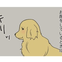 寝ぼけ顔は知的で、目が醒めるととぼけた顔に？愛犬のギャップがかわいい！【おさんぽですし！　おしゃべり犬とイライラ猫の日記 #５】