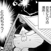 【猫視点】ぼや~んとしたヤツがずっと家にいる! このままじゃ私の居場所をとられちゃう!!【同居人はひざ、時々、頭のうえ。 #40】