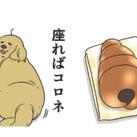 愛犬を見てるとお腹が空くのはなぜ?! 立てば食パン、座るとチョココロネ、寝てる姿は…【おさんぽですし！　おしゃべり犬とイライラ猫の日記 #７】