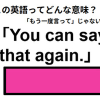 この英語ってどんな意味？「You can say that again.」