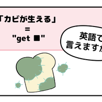 英語で「カビが生える」はなんて言う？【マンガで英会話】