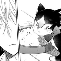 首輪をつけようとすると、かわす猫!! 最後の手段でにエサを食べている途中につけてみると…【同居人はひざ、時々、頭のうえ。 #60】