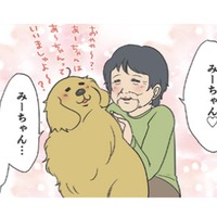 亡くなったゴールデンを想う女性が、わが家の愛犬に触れ…もらい泣きして号泣…【おさんぽですし！　おしゃべり犬とイライラ猫の日記 #16】