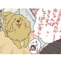 「お散歩行こうか」の声に大興奮…うれしくて何度も報告する愛犬の姿がかわいい【おさんぽですし！　おしゃべり犬とイライラ猫の日記 #17】