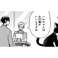 猫と生活していると爪とぎ跡があるはずなのに、見当たらない… どこで爪とぎしているのかな？〈4コマ漫画〉【同居人はひざ、時々、頭のうえ。 #63】