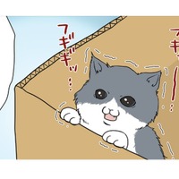 ダンボール箱の中で必死に鳴いてる仔猫を発見…こんな小さいのに誰が捨てたの?【おさんぽですし! おしゃべり犬とイライラ猫の日記 #18】