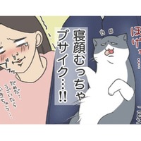 ツンデレだった愛猫が膝に乗ってくれるようになった寝顔むっちゃブサイクでたまらん【おさんぽですし！　おしゃべり犬とイライラ猫の日記 #20】