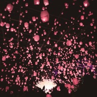 花見灯夜2026／提供画像