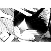 「家族」は顔やしぐさが似てくるって言われ、父と母の事を思い出す。 猫にもいたのかな…【同居人はひざ、時々、頭のうえ。 #77】