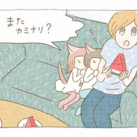 お休みの日はあいにくの雨。1日の終わりに響いた「ドーン!!」、その正体は？【夜が明けるとき猫がそばにいれば #９】
