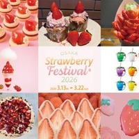 ⼤阪ストロベリーフェスティバル販売商品の⼀例／提供画像