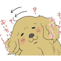 話しかけると一生懸命、聞いてくれる愛犬の仕草が可愛い 一方、愛猫の反応は…?!【おさんぽですし！　おしゃべり犬とイライラ猫の日記 #28】