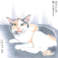 「もしもミケちゃんがおしゃべりできたなら…」優しい気持ちになれる、猫と飼い主の心温まる物語【ミケちゃんとやすらぎさん #１】