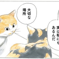 「もう寒い季節は終わったよ」という知らせが…咲き誇る桜を見て2匹の猫が感じたことは?【続 ミケちゃんとやすらぎさん #5】