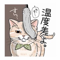 「すんっ…」遊びたい飼い主を華麗にスルーする猫の反応【猫がおしりを向けてきます #６】