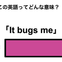 この英語ってどんな意味？「It bugs me」