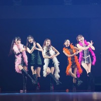 フジコーズ（C）AGESTOCK2026