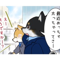 「太っちゃったんだよな」先輩をよく見ると、柴犬のチャームポイントの「あそこ」にお肉が…【がんばれ!しばりーまん #3】