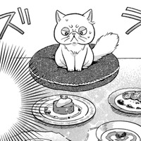 お風呂に入れてもらって体がふわふわ!お腹が空いたと思ったら豪華なごちそうまで!【根暗騎士による溺愛満喫中のブサ猫、実は聖女です!#26】