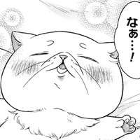 お腹いっぱいで、暖かくて、心も体もふわふわ…聖女だったことなんて忘れてリラックス！【根暗騎士による溺愛満喫中のブサ猫、実は聖女です！#27】