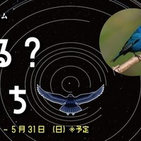 全編生解説プラネタリウム星を見る？動物たち