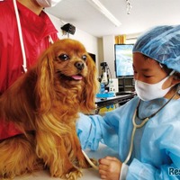 獣医さん体験スクール