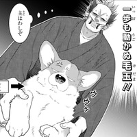 「犬を飼ってやしないだろうね?」大家にバレたら追い出される…この奔放な家臣を守らねば【殿と犬 #3】