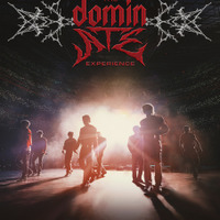 『Stray Kids : The dominATE Experience』 （c）JYP ENTERTAINMENT