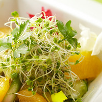 がん予防の権威である医師開発の野菜って！？ビタミンCよりも抗酸化力が長時間続き、老化予防にも最適で「しかもワンコイン以下」スーパーフードとは