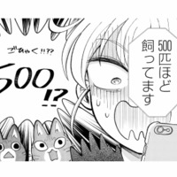 生きたネズミ500匹!? 5日間放置されたラスボス部屋にいざ突撃！【家政婦よんだら猫がきた #21】