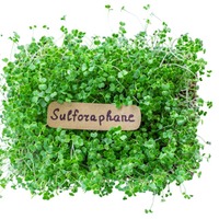 血糖値が10%ダウン、肝臓の数値も10%以上改善。エビデンスが証明するスーパー野菜「ブロッコリースプラウト」の実力とは【お茶の水女子大 食物栄養学科教授が解説】