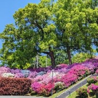 【画像ギャラリー】穀雨のころのヒルトップと「まさかの食材」