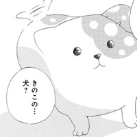 「妖怪？それとも妖精？」きのこの下から現れたのは、犬みたいな謎の生き物だった【きのこいぬ #２】