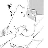 「好きだから」気持ちを伝えるきのこいぬ…だけど、その本心はうまく伝わらなくて【きのこいぬ #９】